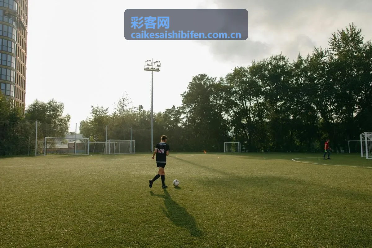 彩客网球员数据头像